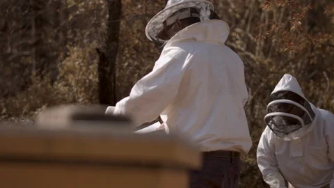 Epic Beekeepers Stock Footage 91042589