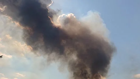 Epic big fire in nature park. Fire is destroying nature. Climate emergency Stock Footage 308328056