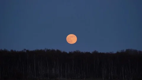 Epic big moon rising in Amager 18 min in 2 min 4K 60 fps Stock Footage
