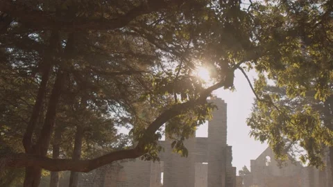 Epic Castle During Sunset Vídeos de archivo 138715797