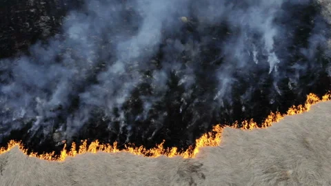 An epic cinematic frame separating the burned earth and untouched grass.Vertical Stock Footage 106360088