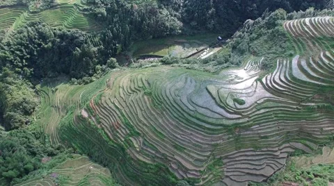 EPIC CINEMATIC REVERSE AERIAL OF THE REFLECTION OFF THE PINGAN RICE FIELDS Stock Footage 65244321