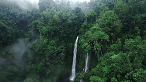 Epic cinematic view of waterfall in the green jungle forest. Sekumpul waterfall Stock Footage 241403347