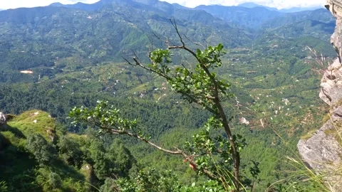 Epic Cliff Edge View Over Vast Himalayan Valley From Chauli Ki Jali Mukteshwar Stock Footage 338227370