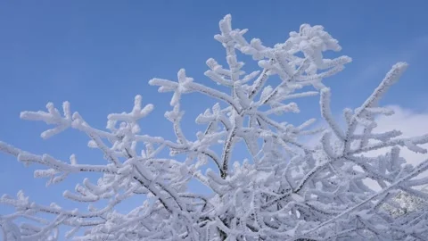 Epic Cold Winter Establishing Shot Heavy Snow and Dense Fog Stock Footage 336952688