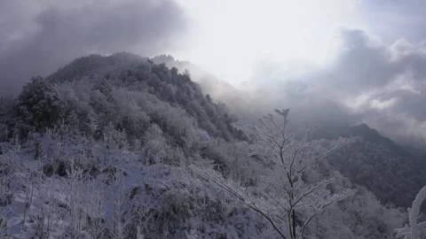 Epic Cold Winter Establishing Shot Heavy Snow and Dense Fog 库存影片 336952713