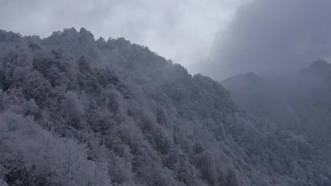 Epic Cold Winter Establishing Shot Heavy Snow and Dense Fog Vidéo 336952868