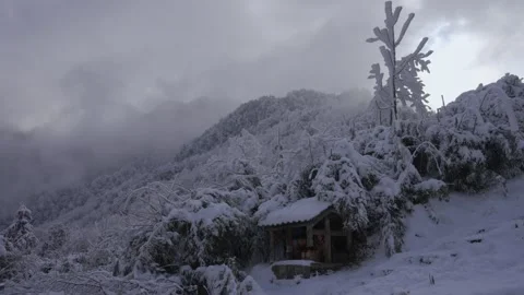 Epic Cold Winter Establishing Shot Heavy Snow and Dense Fog Video stock 336952924