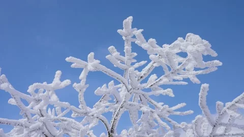 Epic Cold Winter Establishing Shot Heavy Snow and Dense Fog Video stock 336953231