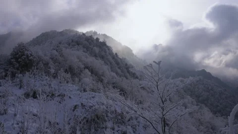 Epic Cold Winter Establishing Shot Heavy Snow and Dense Fog Video stock 336953267