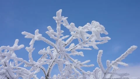 Epic Cold Winter Establishing Shot Heavy Snow and Dense Fog Vídeo Stock 336953275