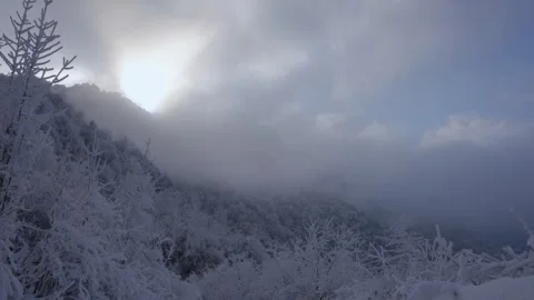 Epic Cold Winter Establishing Shot Heavy Snow and Dense Fog 库存影片 336953293