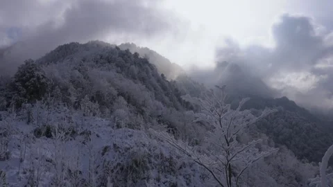 Epic Cold Winter Establishing Shot Heavy Snow and Dense Fog Video stock 336953311