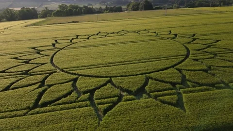 Epic Crop Circle Amazing Drone Clip, 7th June 2023, Potterne Wiltshire 4K Video stock 243290053