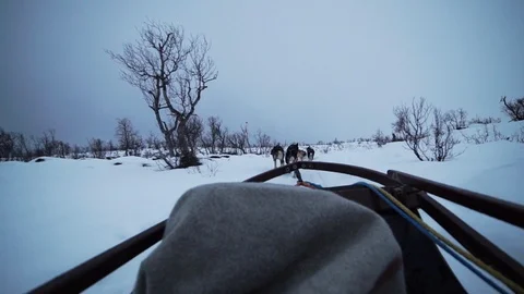 Epic dog sled pov Vídeos de archivo 89503926