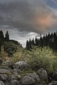 Epic dramatic landscape image of shores of Llynnau Mymbyr at sunset with dram Stock Photos