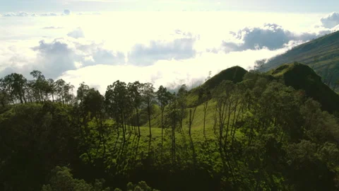 Epic dramatic view of green valley with few trees on top mountain Stock Footage 269120078