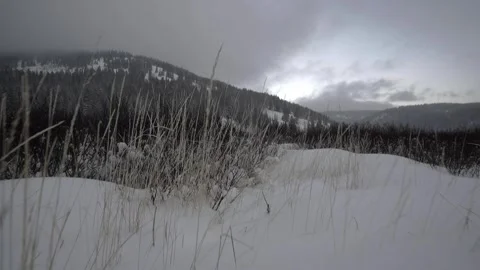 Epic Drive Stock Footage 248497297