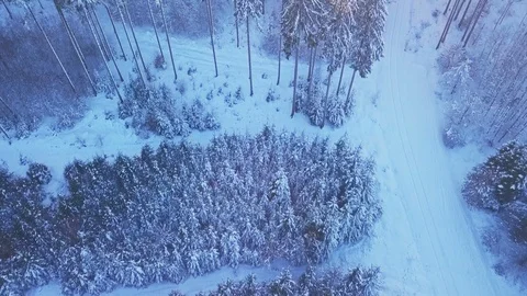 Epic drone footage looking down at the snow covered trees at sunset Stock Footage 113733163
