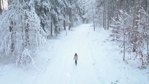 Epic drone footage looking down at the snow covered trees and a lonely girl Stock Footage 162755404
