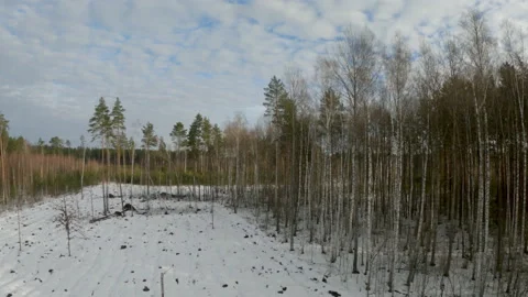 Epic Drone FPV aerial flight over forest on a winter day Stock Footage 149324243