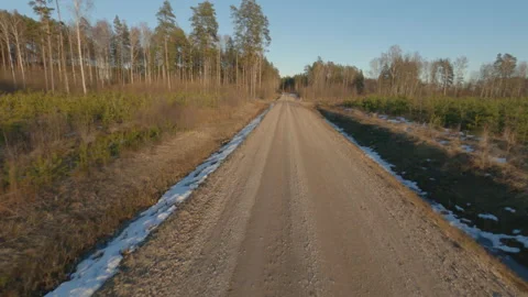 Epic Drone FPV aerial flight over forest on a winter day Stock Footage 149772499