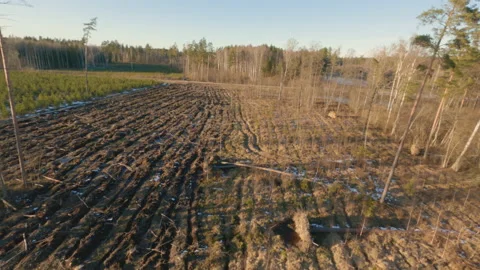 Epic Drone FPV aerial flight over forest on a winter day Stock Footage 149786850