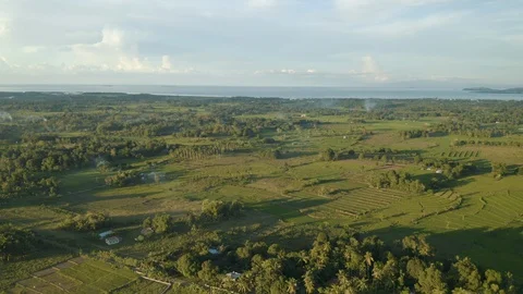 Epic Drone Shot of Asian Rice Fields and Ocean Stock Footage 128663786
