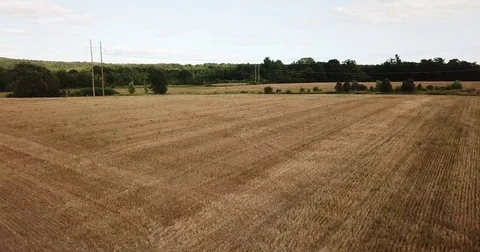 Epic Drone Shot Empty Field Video stock 79546303