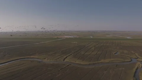Epic drone shot of fields with birds flying through frame Video stock 113042461