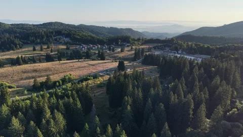 Epic drone shot of modern residential neighborhood nestled in alpine pine forest Stock Footage 344907404