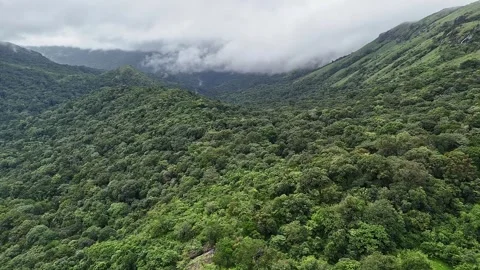An epic drone view of lush green forest and mountains beneath a misty, clou.. 스톡 동영상 314208071