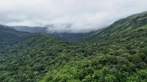 An epic drone view of lush green forest and mountains beneath a misty, clou.. 스톡 동영상 314208119