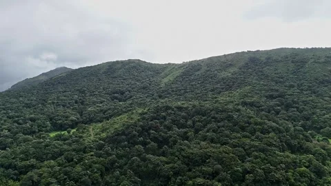 An epic drone view of lush green forest and mountains beneath the cloudy sk.. Video stock 314208242