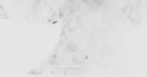 Epic Explosion Transition Stock Footage 172382018