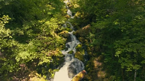 Epic Falls Creek Falls Waterfall Oregon Washington Columbia River Gorge Stock Footage 280701982