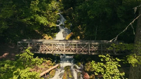 Epic Falls Creek Falls Waterfall Oregon Washington Columbia River Gorge Video stock 280701985