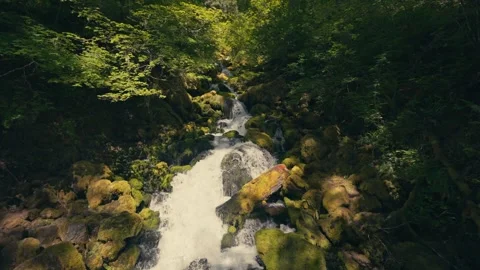 Epic Falls Creek Falls Waterfall Oregon Washington Columbia River Gorge 動画素材 280701997