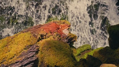 Epic Falls Creek Falls Waterfall Oregon Washington Columbia River Gorge Stockbeeldmateriaal 280702001