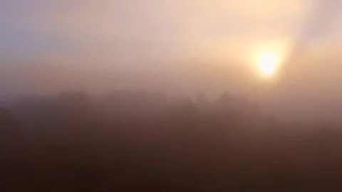 Epic Flight Over Autumn Forrest. Sunrise or sunset. Colorful Trees Drone Aerial Stock Footage 111462802