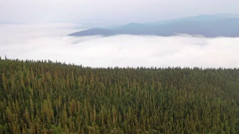 Epic Flight Over Clouds and Forest in Mountains Stock Footage 205019557
