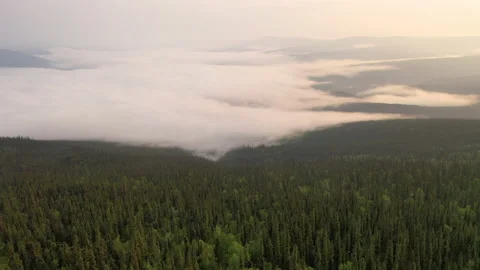 Epic Flight Over Clouds and Forest in Mountains Stock Footage 205020163