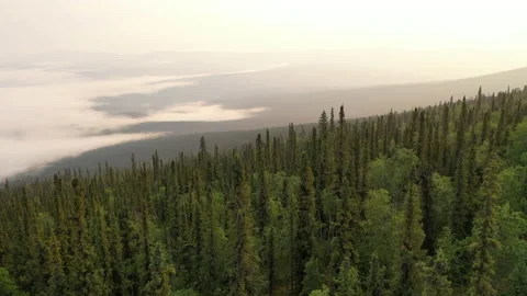 Epic Flight Over Clouds and Forest in Mountains. Stock Footage 205020432