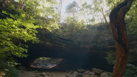 Epic Forest With Cave Stock Footage 138715751