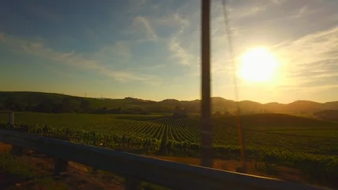 Epic grape wine vineyard drive by sunset Stock Footage 112443708