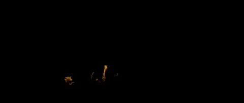 Epic Ground Fire Flames Background Realistic Burning Fire VFX in 4K Stock Footage 340091461