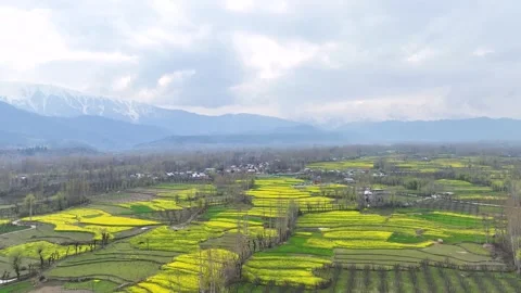 Epic high-altitude drone flight toward Himalayan mountain range. Stockbeeldmateriaal 333801004