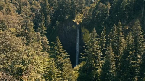 Epic Latourell Falls Waterfall Oregon Washington Columbia River Gorge Stock Footage 280702521