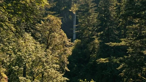 Epic Latourell Falls Waterfall Oregon Washington Columbia River Gorge Vidéo 280702556