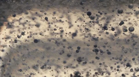 Epic Lava Lamp Macro shot Stock Footage 1180725